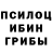 Галлюциногенные грибы прущие грибы Alexey Martynoff19991