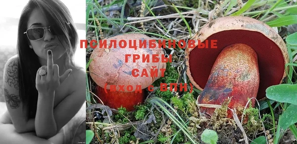 мяу мяу мука Няндома