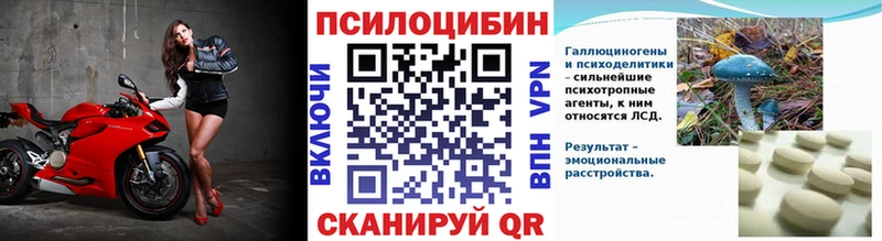 omg как зайти  где купить наркоту  Богучар  Псилоцибиновые грибы прущие грибы 